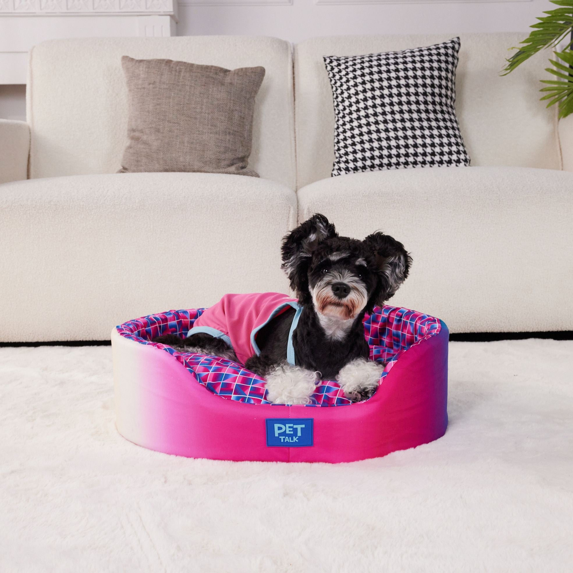 Cama Redonda para Cachorros Série de Iluminação Mágica