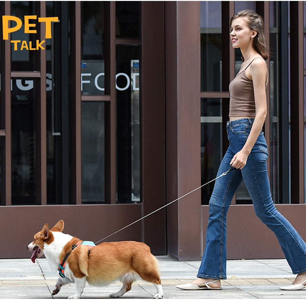 Peitoral Coleira com guia 2 em 1 para Cachorros
