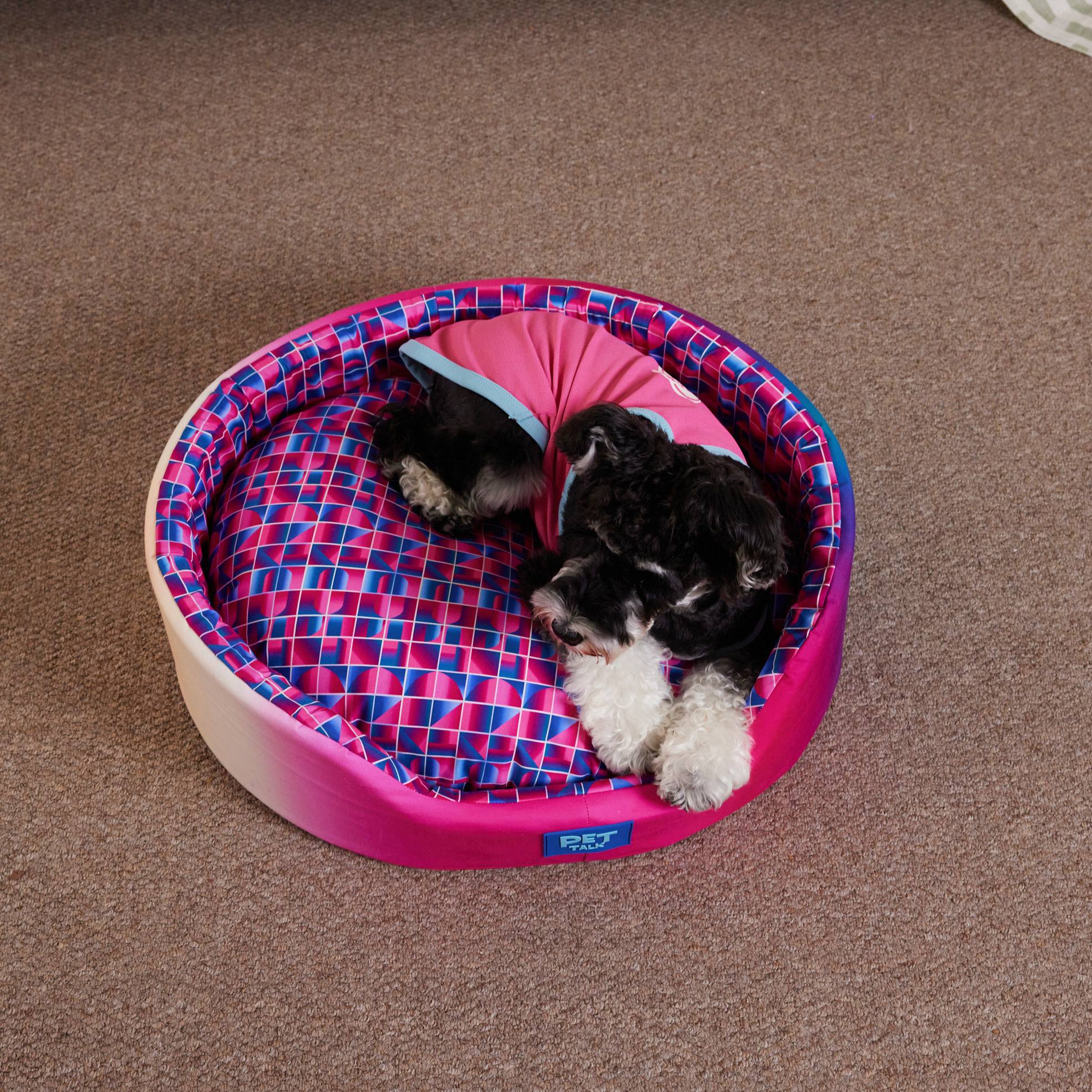 Cama Redonda para Cachorros Série de Iluminação Mágica