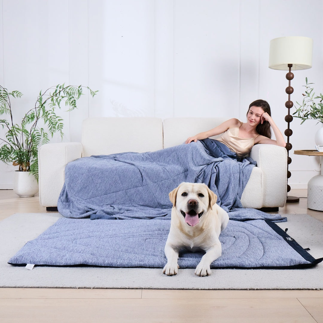 Colchonete Portátil para Cachorros Série Refrescante