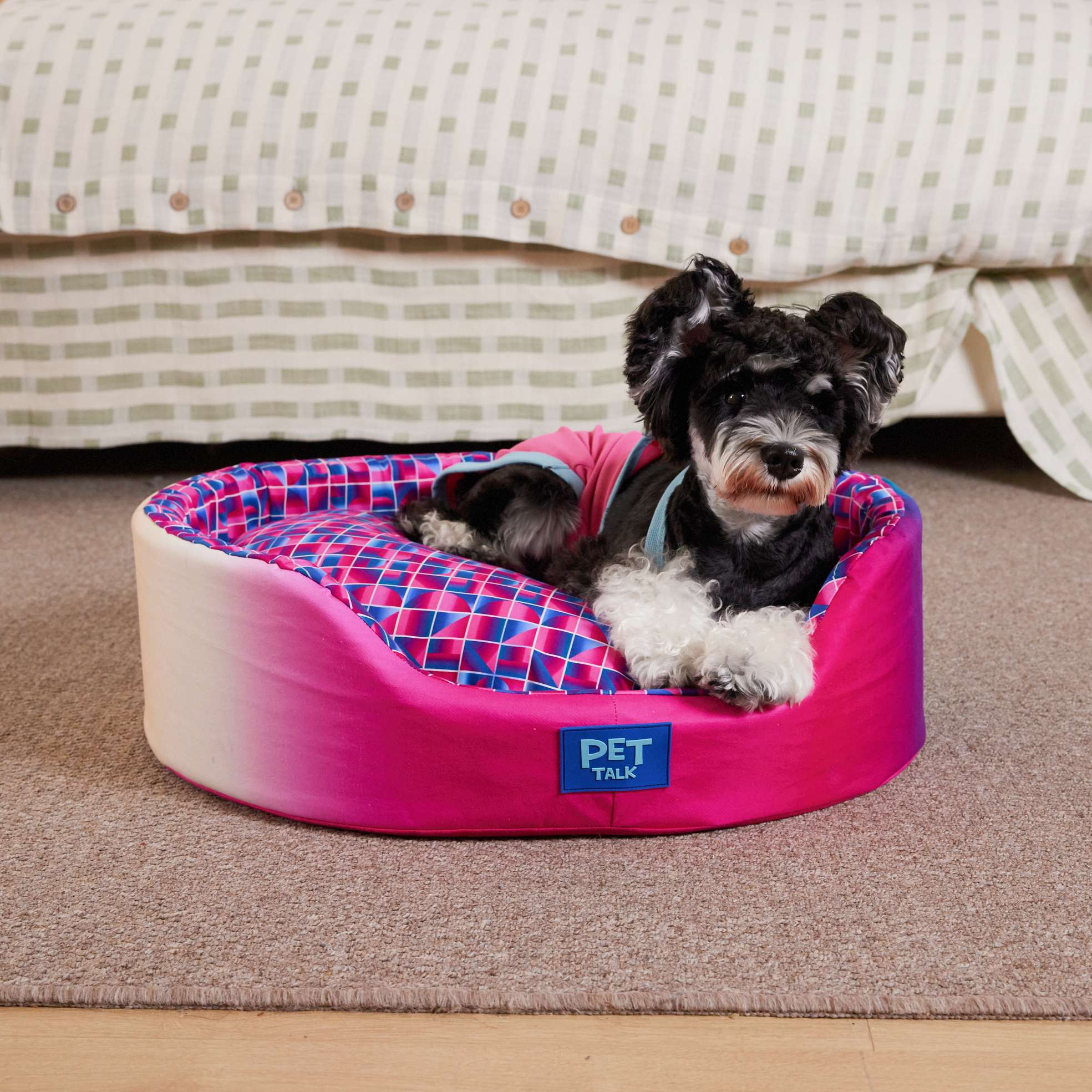 Cama Redonda para Cachorros Série de Iluminação Mágica